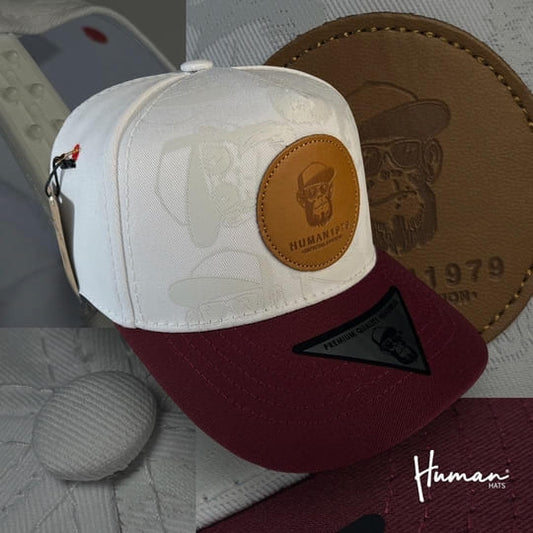 Limited Edition 14