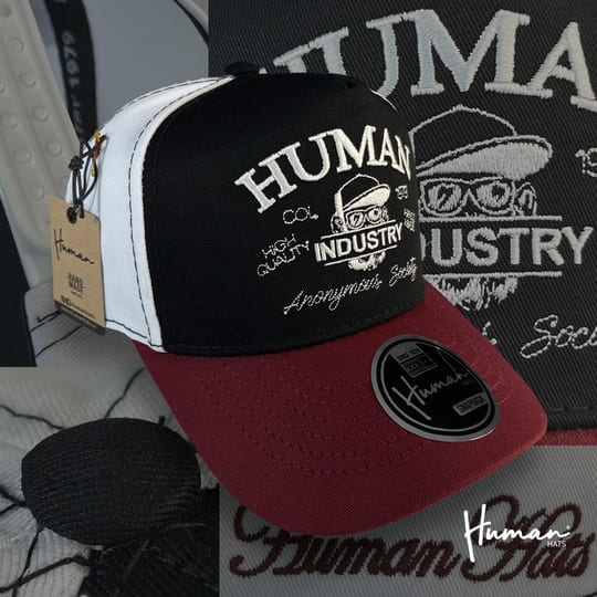 Limited Edition 12