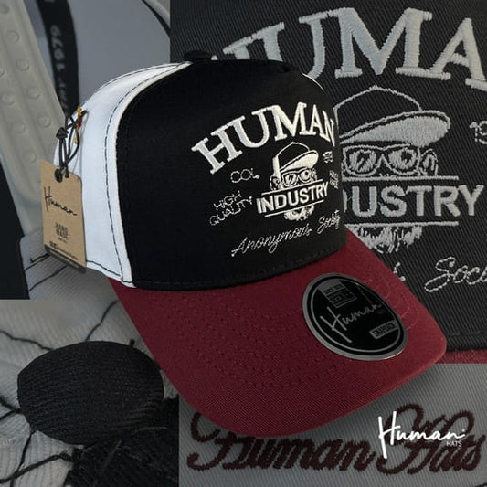 Limited Edition 12