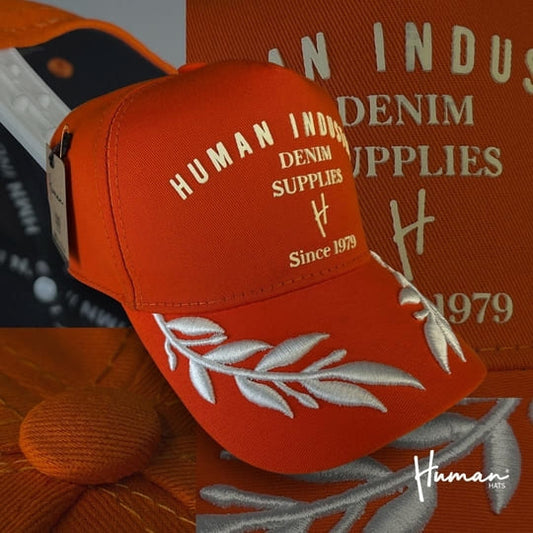 Limited Edition 7