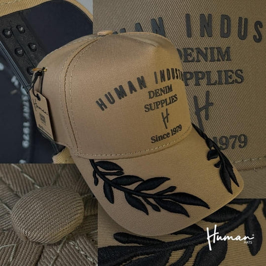 Limited Edition 3